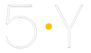5.Y